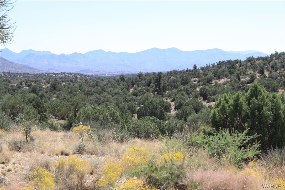 0 Rodeo Drive Kingman, AZ 86401 - Photo 13 of 15