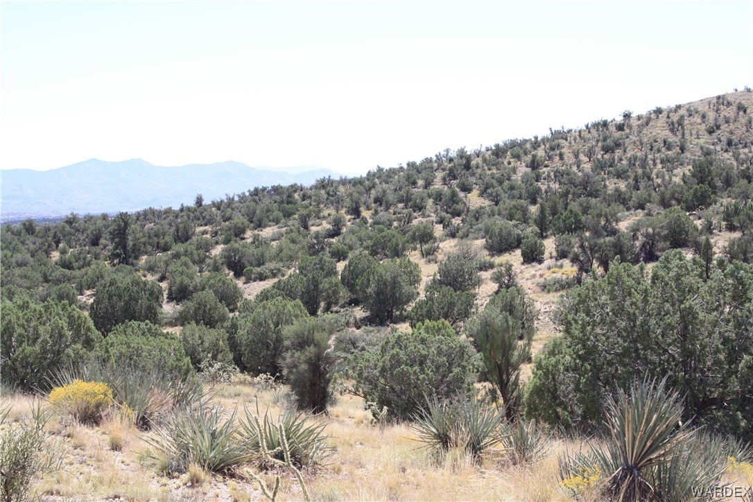 0 Rodeo Drive Kingman, AZ 86401 - Photo 14 of 15