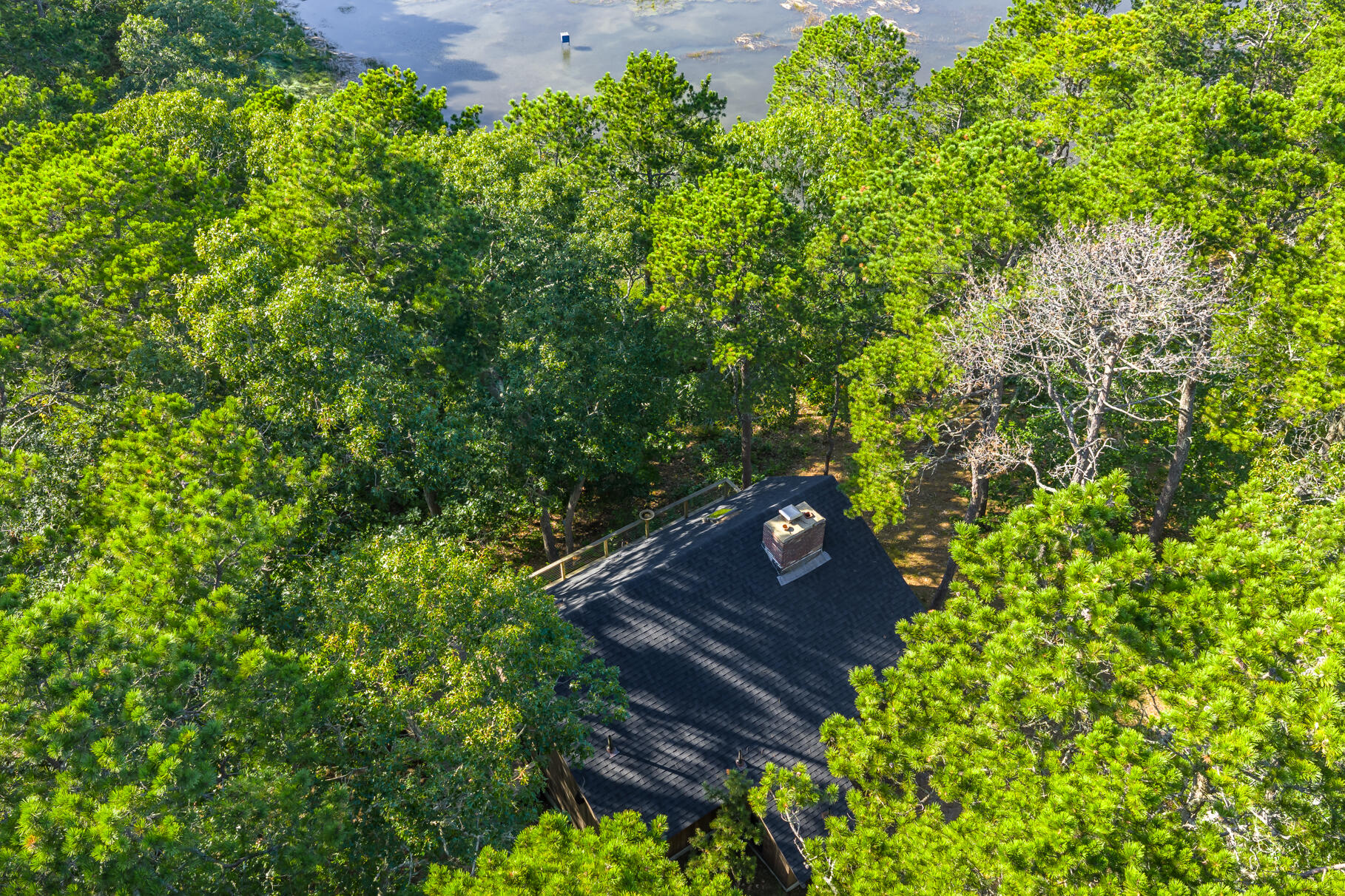90 Blue Heron Road Wellfleet, MA 02667 - Photo 43 of 54 a view of a back yard