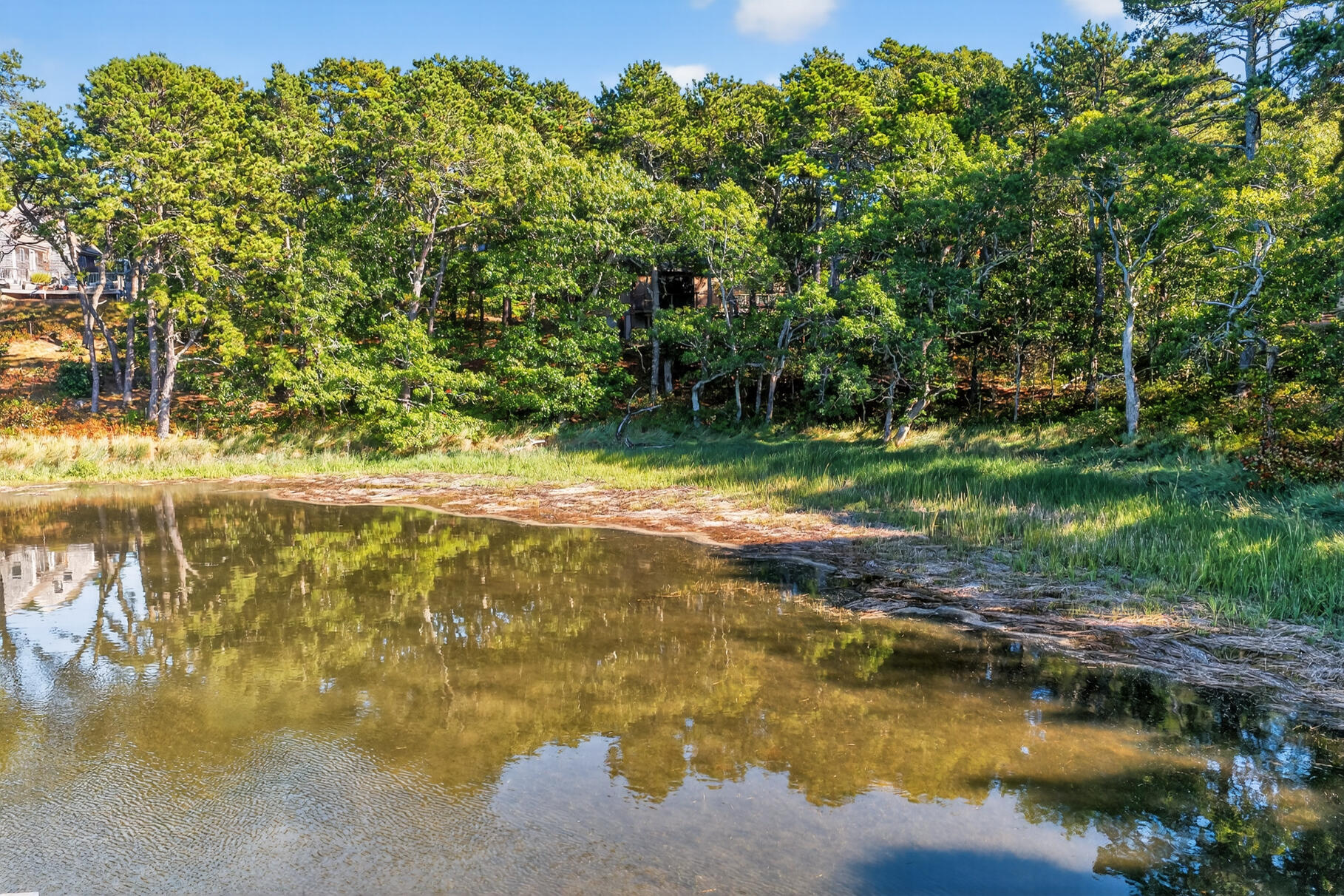 90 Blue Heron Road Wellfleet, MA 02667 - Photo 49 of 54 a view of a lake from a yard