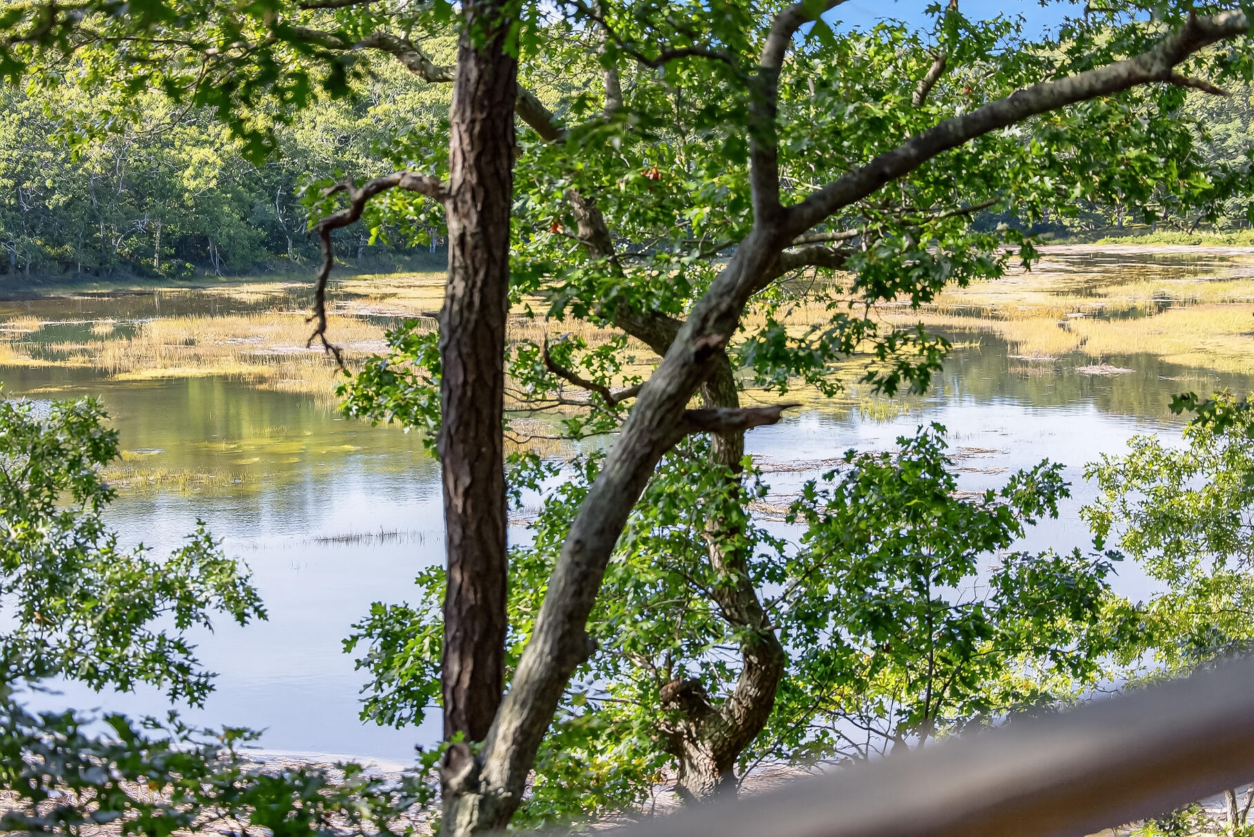 90 Blue Heron Road Wellfleet, MA 02667 - Photo 5 of 54 Tidal View from Deck
