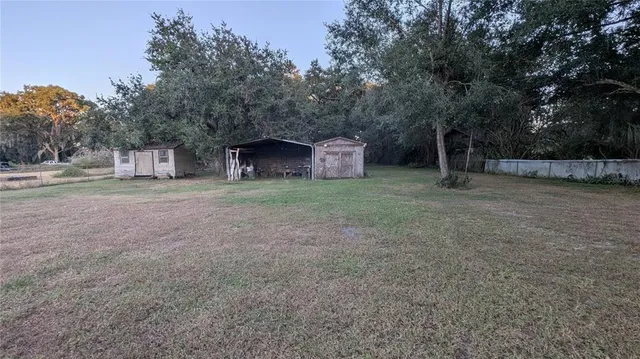 a view of a field with large trees