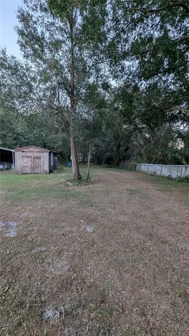 a view of a forest with trees in the background