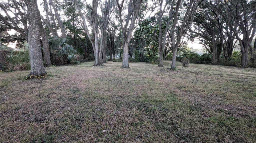 2024 East Keysville Road Lithia, FL 33547 - Photo 33 of 37 a view of a forest with trees in the background