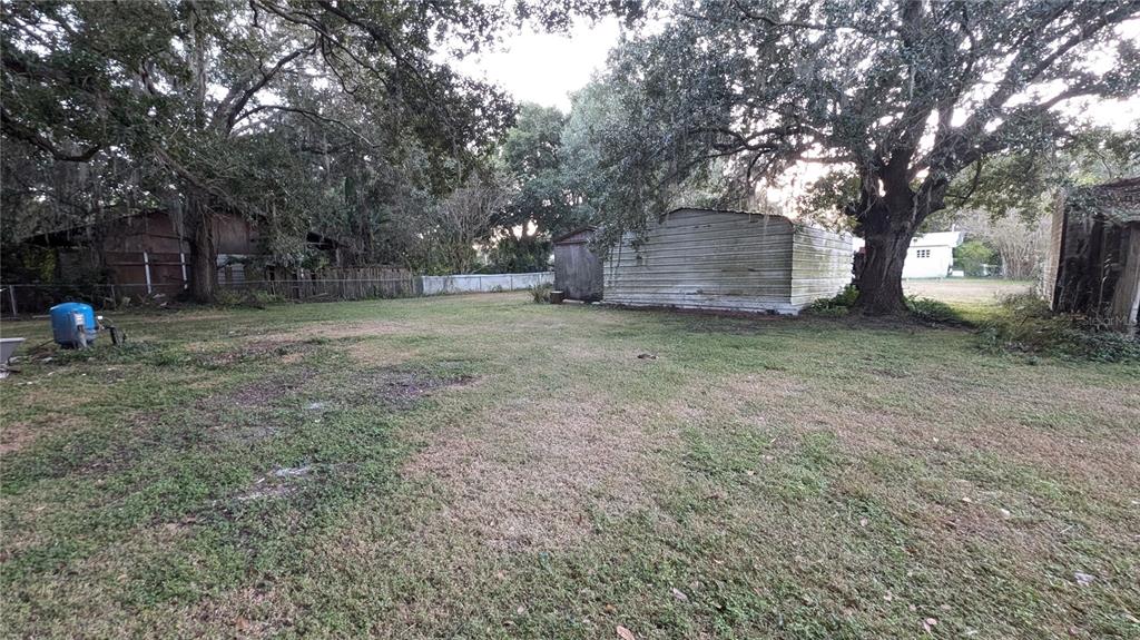 2024 East Keysville Road Lithia, FL 33547 - Photo 34 of 37 a view of a tree in the back yard