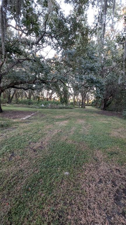 2024 East Keysville Road Lithia, FL 33547 - Photo 35 of 37 a view of a big yard with green space