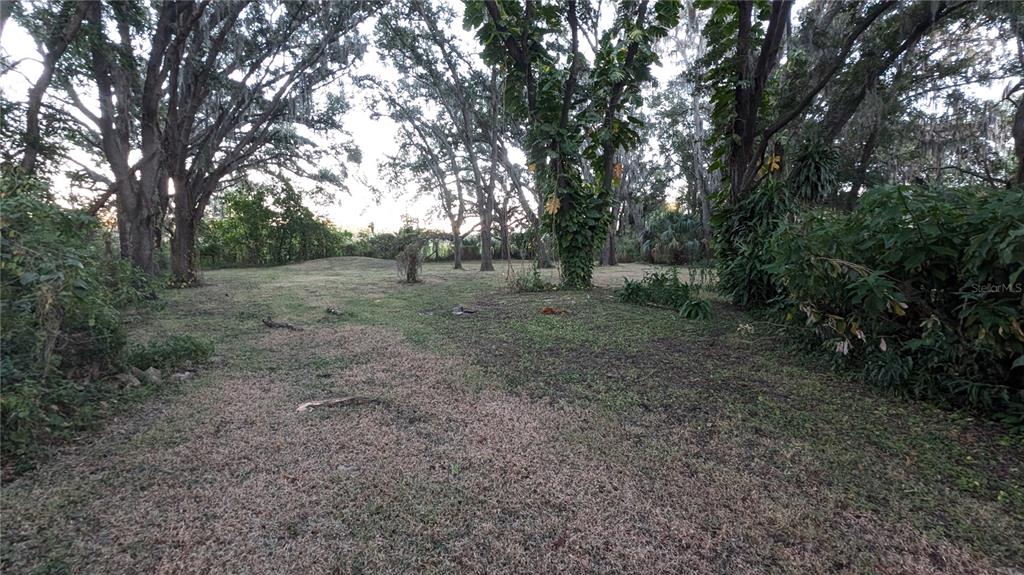 2024 East Keysville Road Lithia, FL 33547 - Photo 36 of 37 a view of a forest with trees in the background