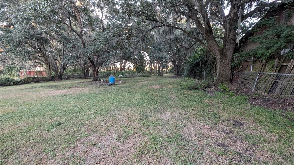 2024 East Keysville Road Lithia, FL 33547 - Photo 37 of 37 a view of a tree in the middle of a yard
