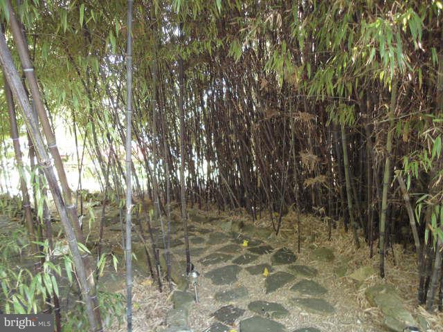 7520 Philadelphia Road Rosedale, MD 21237 - Photo 27 of 27 Black Bamboo Path
