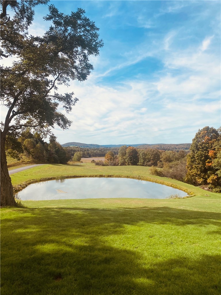 155 John Hill Road Burlington, NY 13315 - Photo 42 of 50