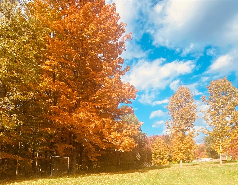 155 John Hill Road Burlington, NY 13315 - Photo 44 of 50