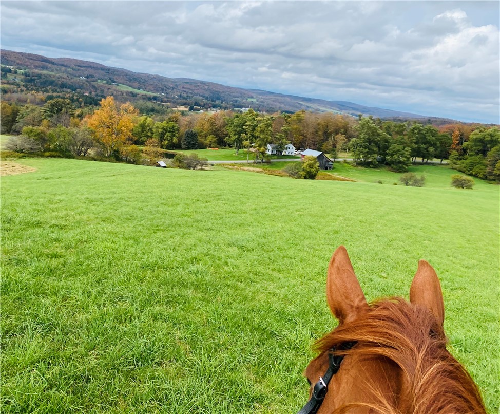 155 John Hill Road Burlington, NY 13315 - Photo 45 of 50