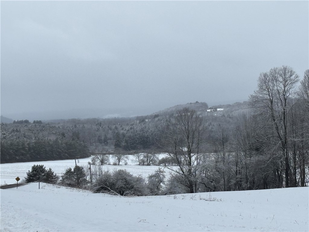 155 John Hill Road Burlington, NY 13315 - Photo 46 of 50