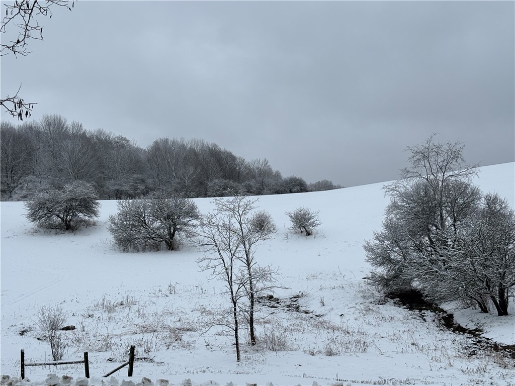 155 John Hill Road Burlington, NY 13315 - Photo 47 of 50