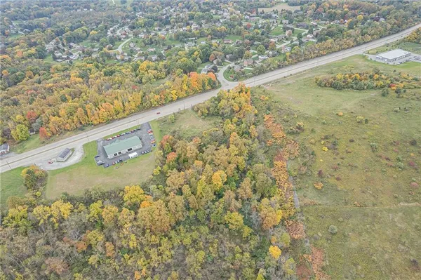 a close up of a wall with a forest