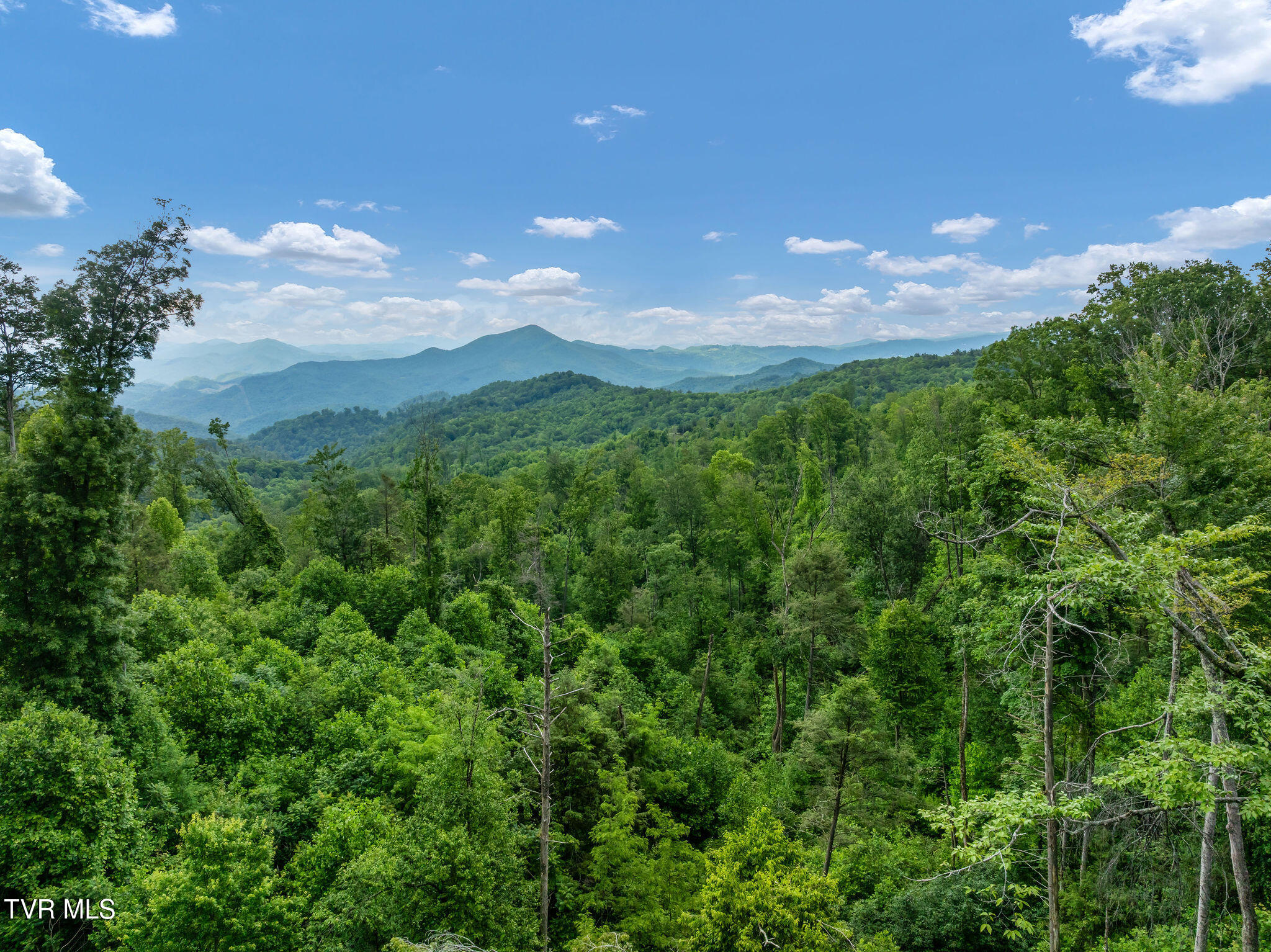 Tbd Walnut Mountain Road Butler, TN 37640 - Photo 16 of 36 DJI_0438