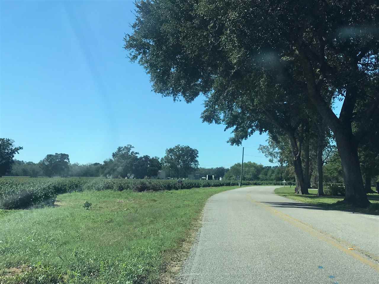 0 Rebel Road Daphne, AL 36526 - Photo 5 of 6