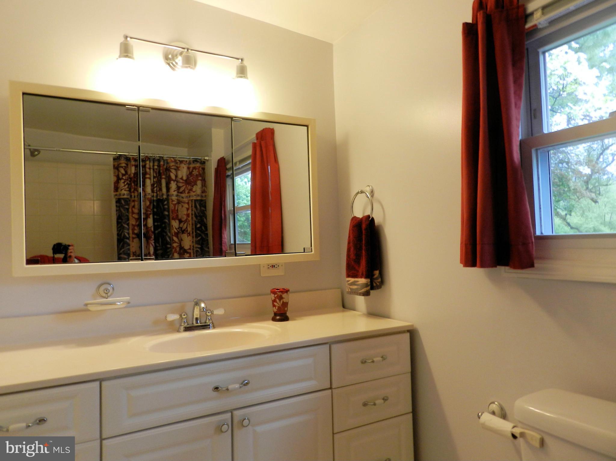 3325 Forge Hill Road Street, MD 21154 - Photo 25 of 30 Bath