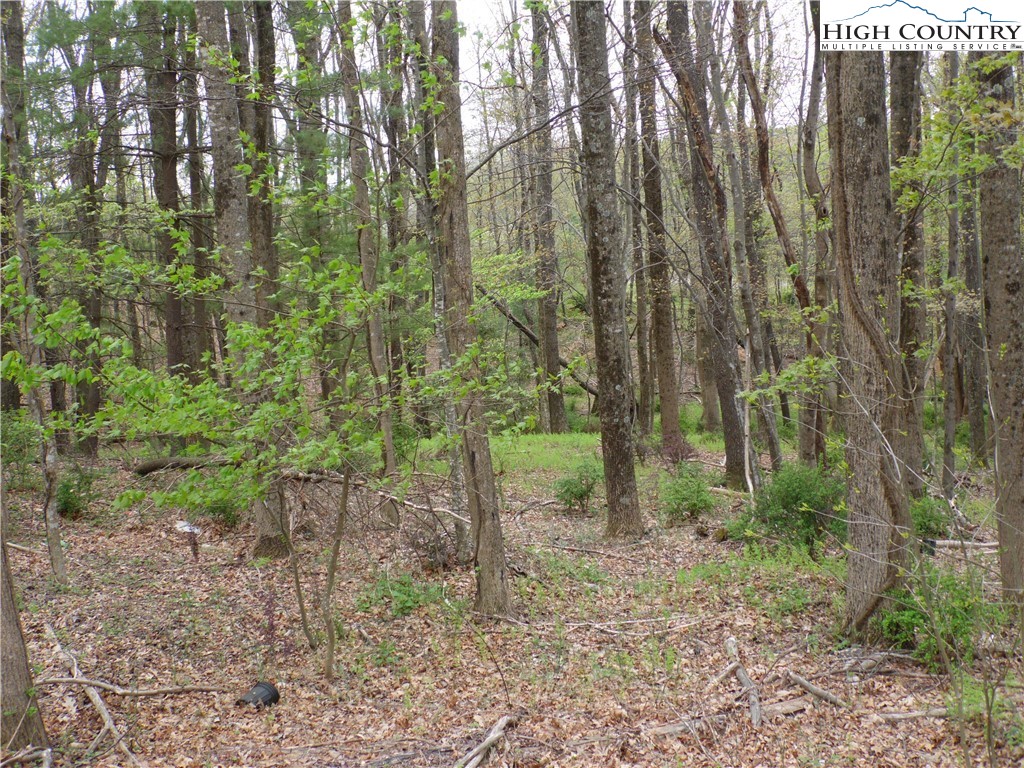 Acorn Hill Road Sparta, NC 28675 - Photo 11 of 17