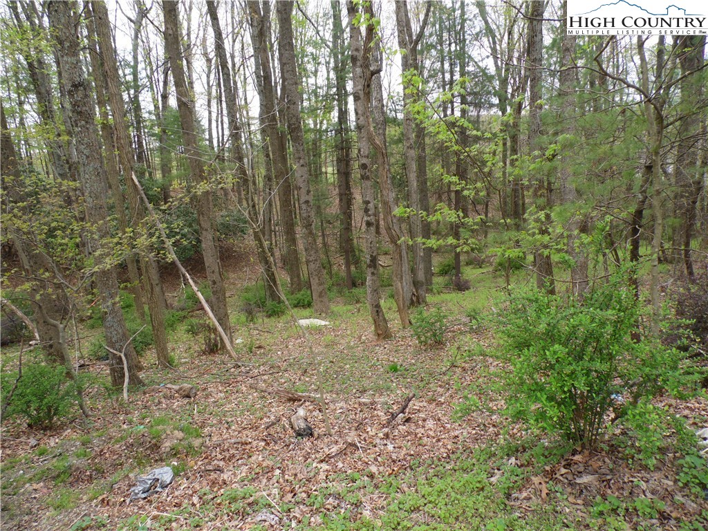 Acorn Hill Road Sparta, NC 28675 - Photo 12 of 17