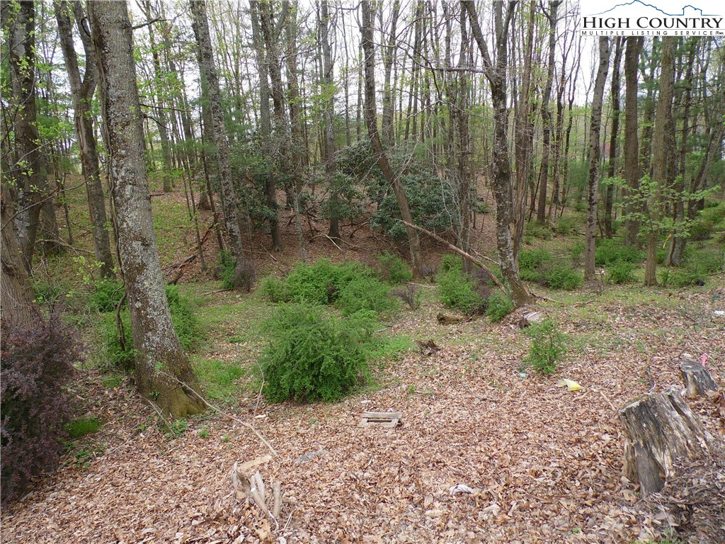 Acorn Hill Road Sparta, NC 28675 - Photo 13 of 17