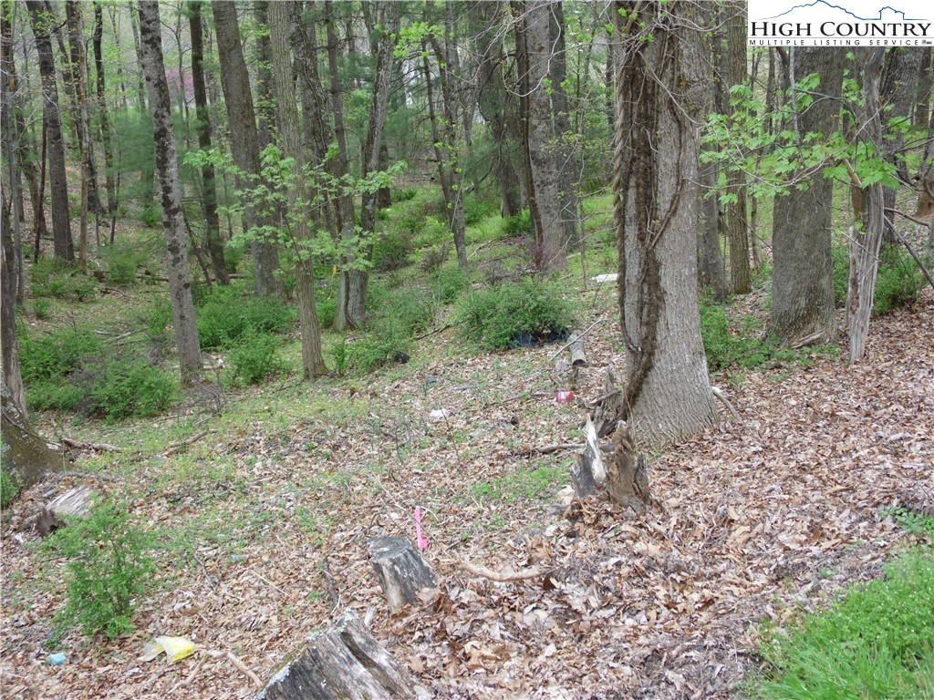 Acorn Hill Road Sparta, NC 28675 - Photo 14 of 17