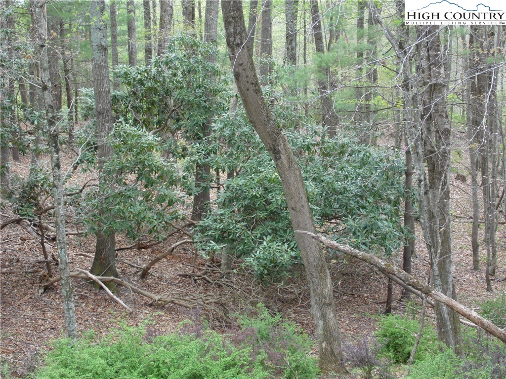 Acorn Hill Road Sparta, NC 28675 - Photo 15 of 17