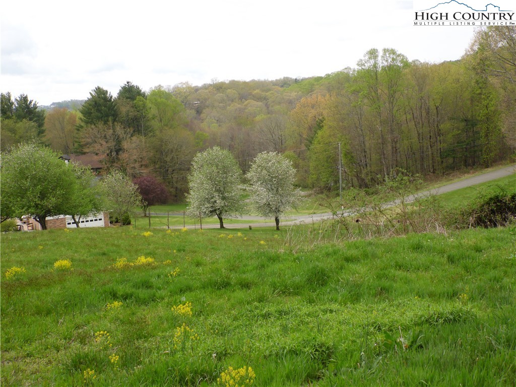 Acorn Hill Road Sparta, NC 28675 - Photo 4 of 17