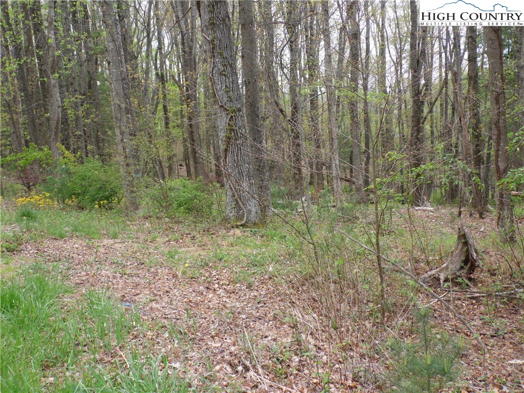 Acorn Hill Road Sparta, NC 28675 - Photo 10 of 17