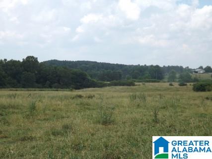 0 Highway 24 Oneonta Al Oneonta, AL 35121 - Photo 14 of 27