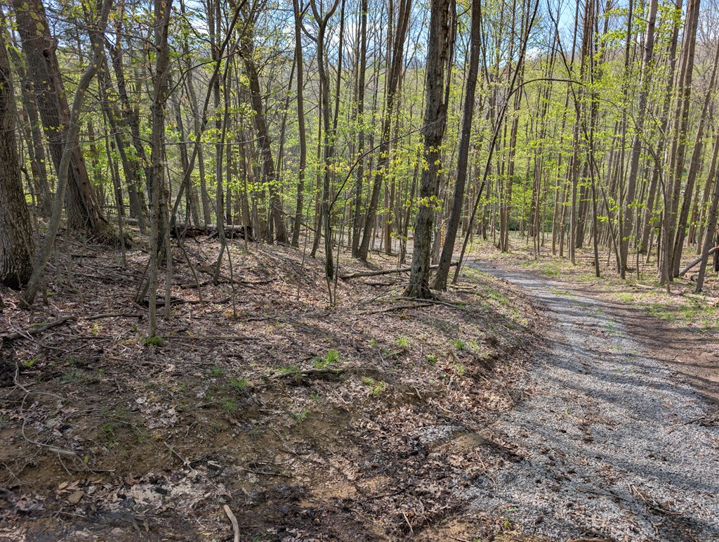 1760 Jordan Hollow Road Parker, PA 16049 - Photo 35 of 52 a view of outdoor space with trees