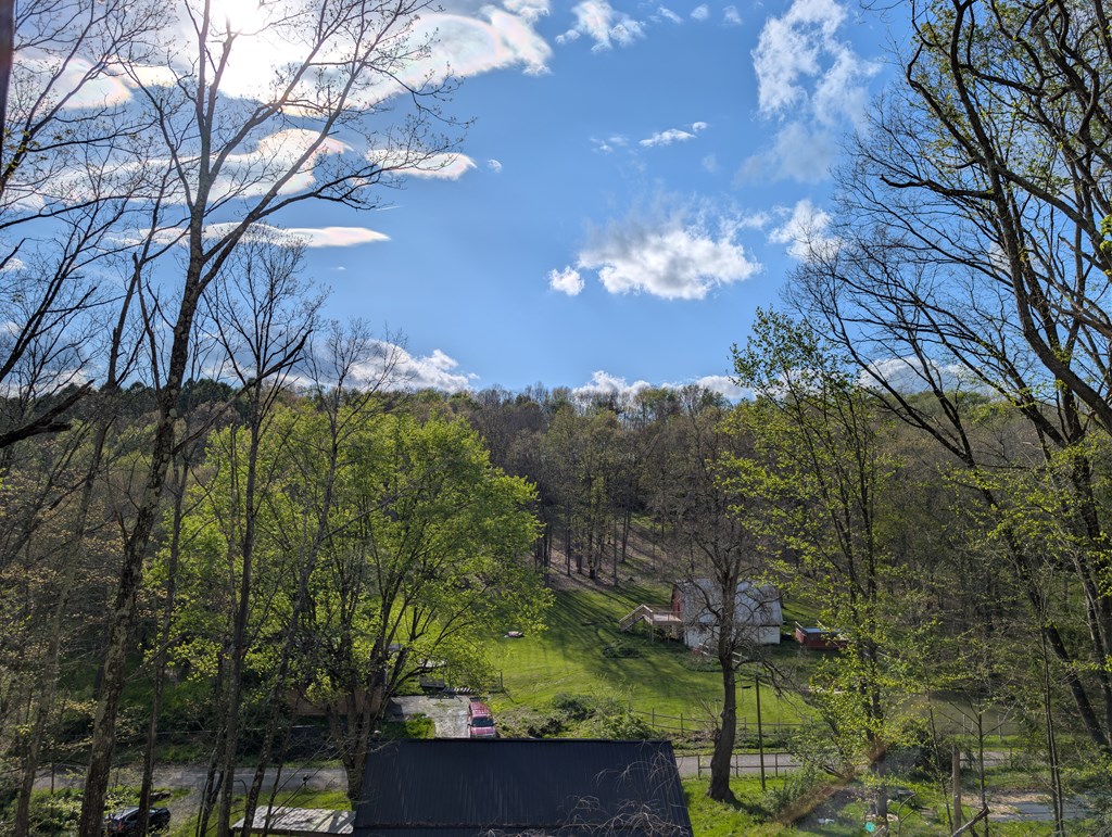 1760 Jordan Hollow Road Parker, PA 16049 - Photo 37 of 52 a view of a yard
