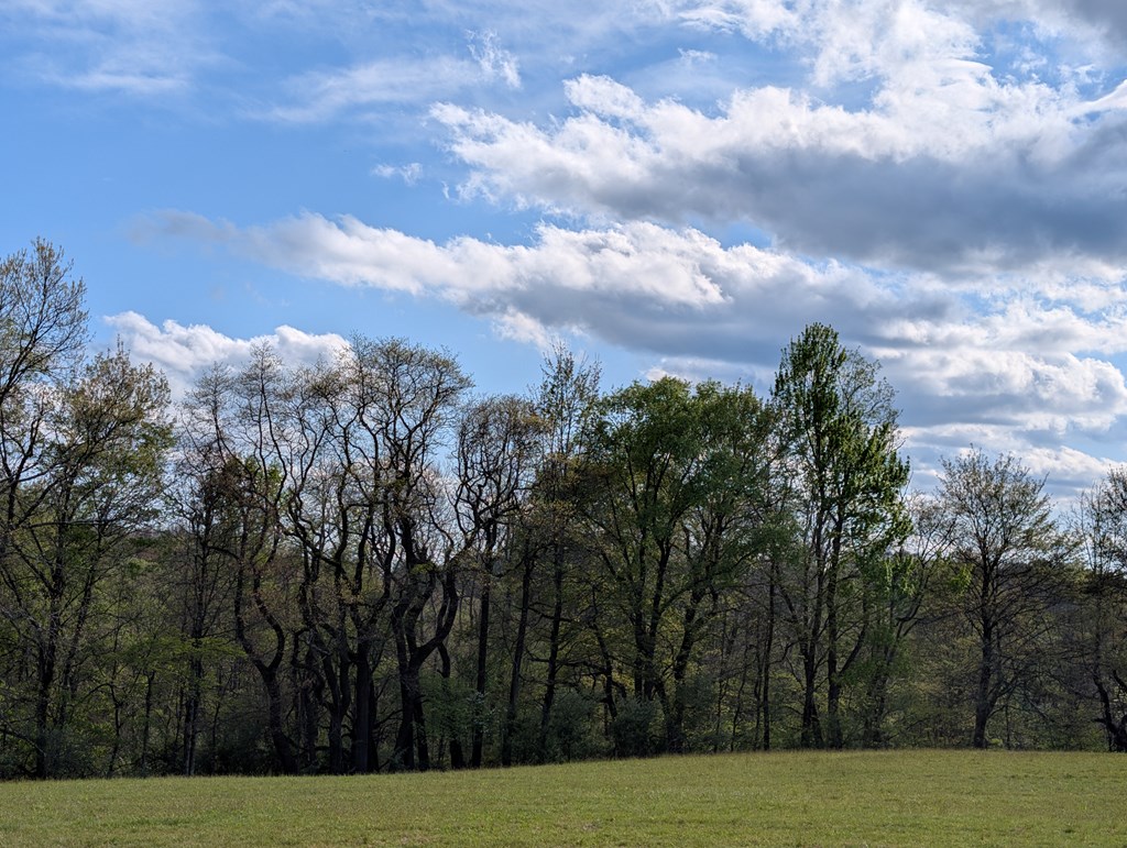1760 Jordan Hollow Road Parker, PA 16049 - Photo 40 of 52 a view of a golf course with trees