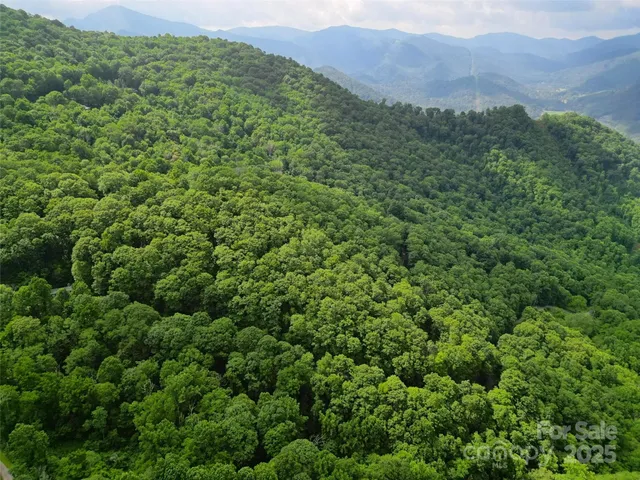 a view of a lush green forest with a house in the background