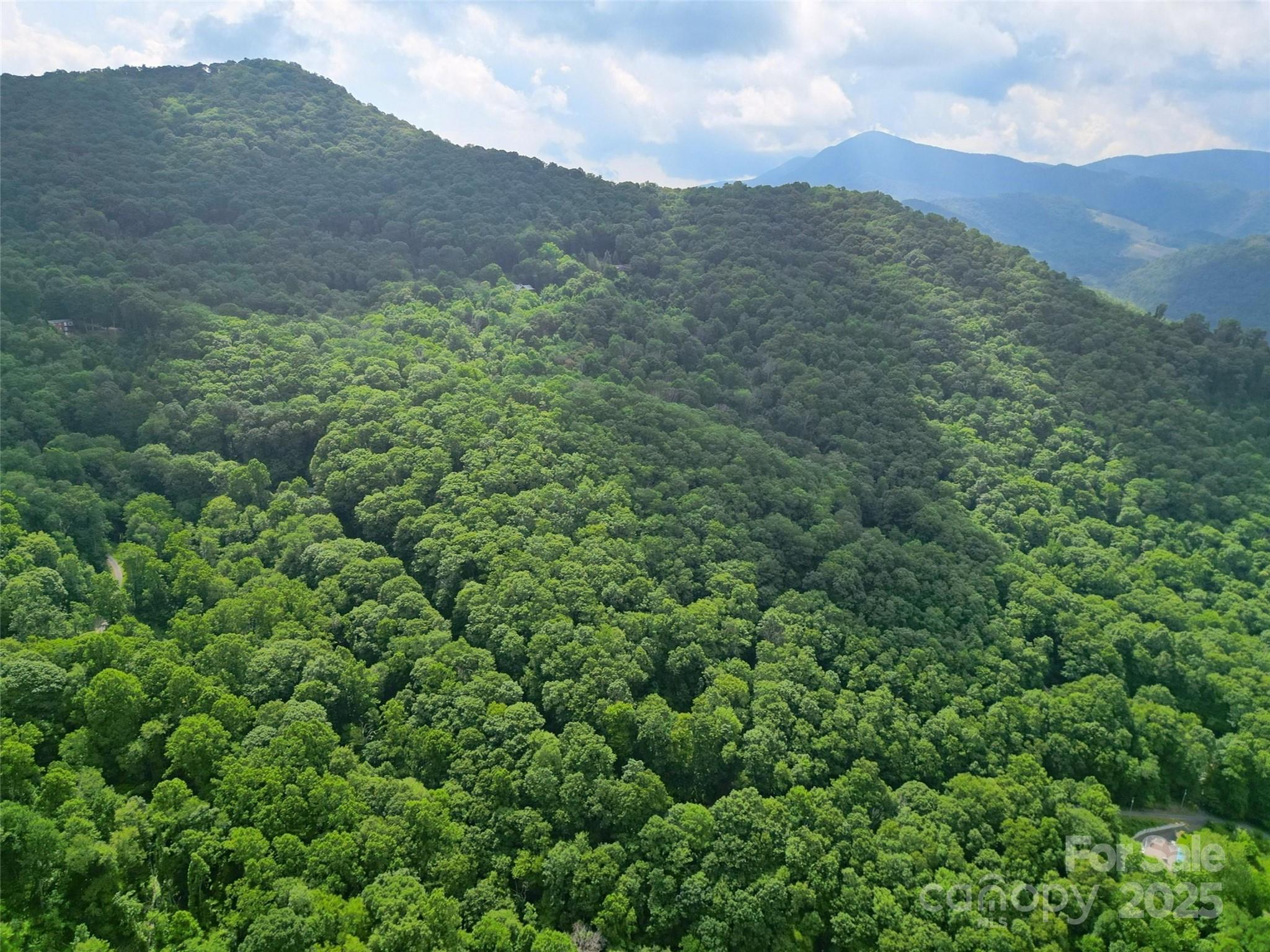 0 Promiseland Road Canton, NC 28716 - Photo 19 of 22 a view of a mountain range with lush green forest