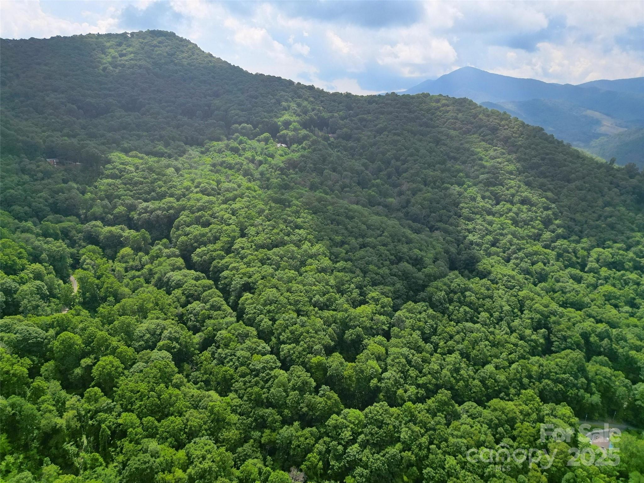 0 Promiseland Road Canton, NC 28716 - Photo 20 of 22 a view of a houses with a lush green hillside