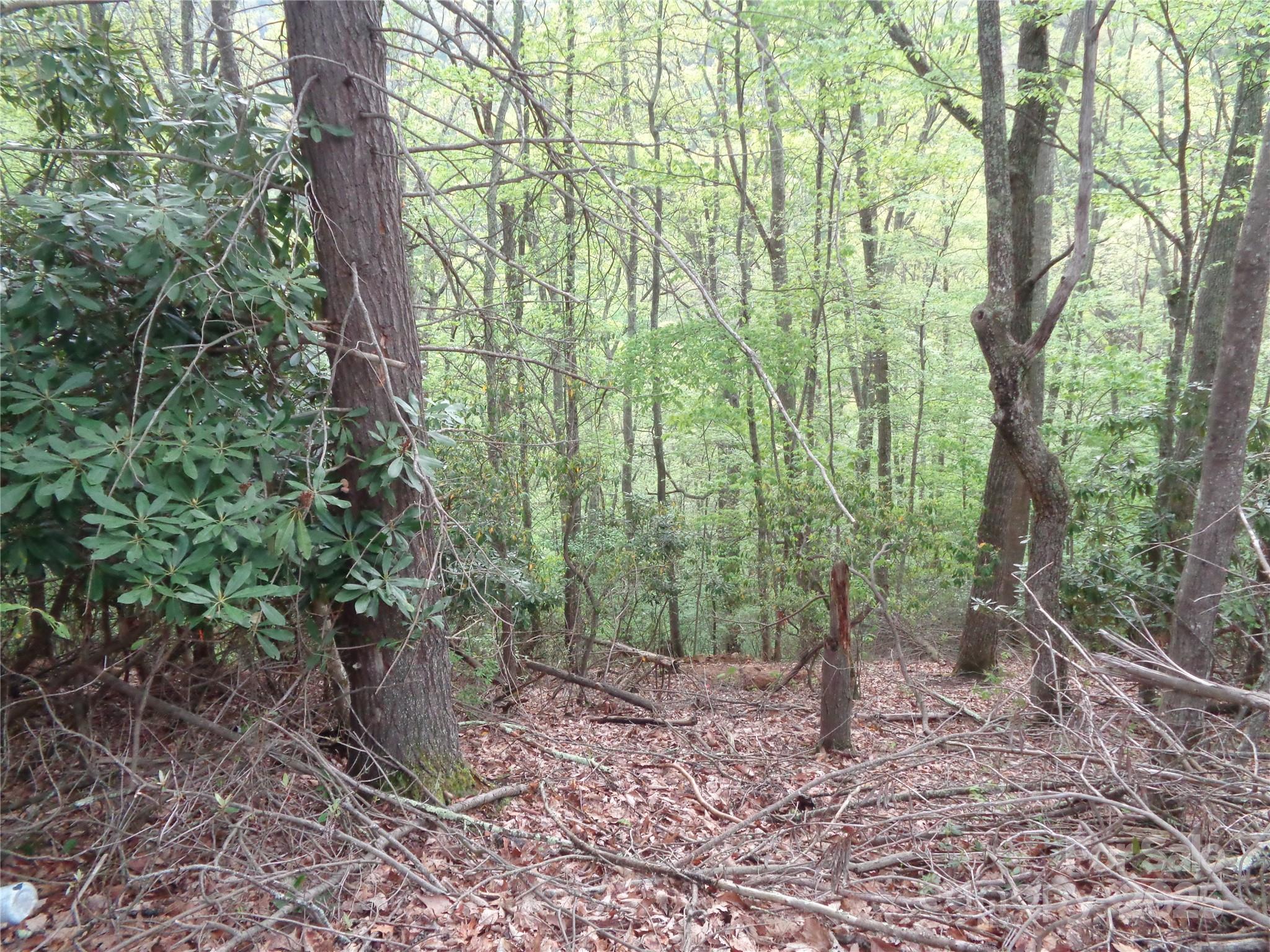 0 Promiseland Road Canton, NC 28716 - Photo 3 of 22 a view of a yard