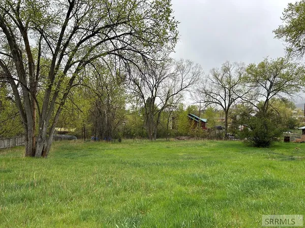 $83,500 | Tbd Roosevelt Avenue, Salmon, ID 83467