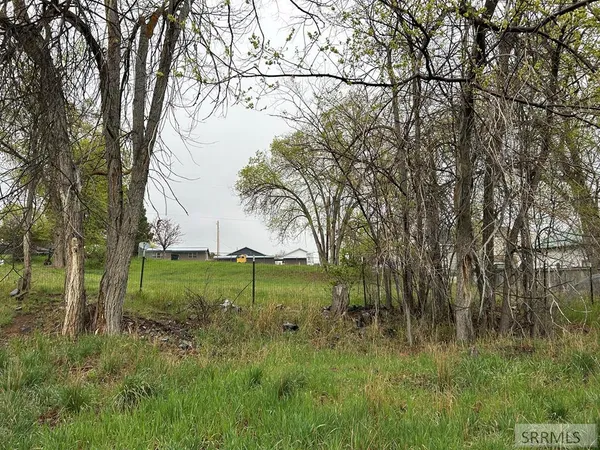 $83,500 | Tbd Roosevelt Avenue, Salmon, ID 83467