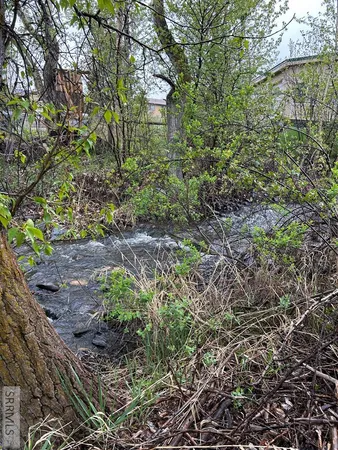 $83,500 | Tbd Roosevelt Avenue, Salmon, ID 83467