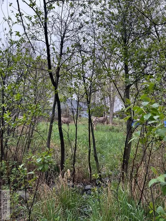 $83,500 | Tbd Roosevelt Avenue, Salmon, ID 83467