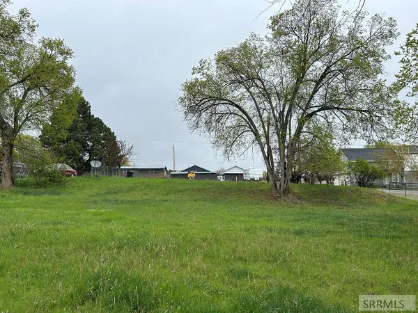 $83,500 | Tbd Roosevelt Avenue, Salmon, ID 83467