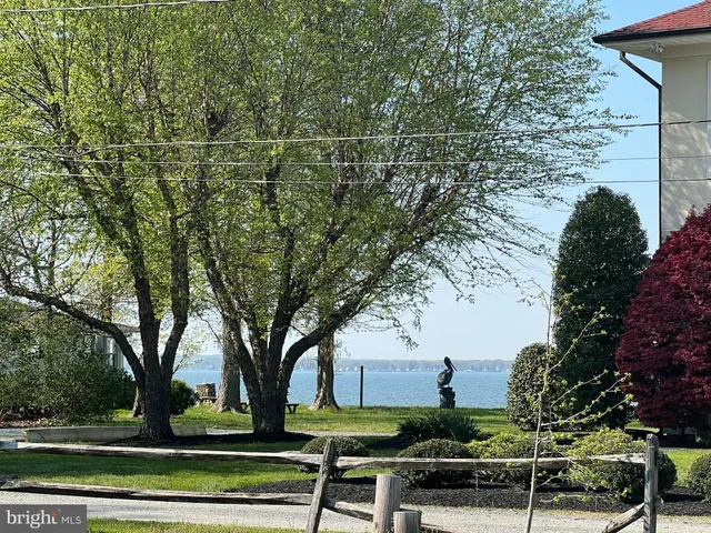 a view of a park with large trees