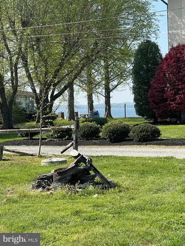 a view of a house with swimming pool and a trees