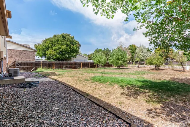 a view of a yard with plants and a fountain