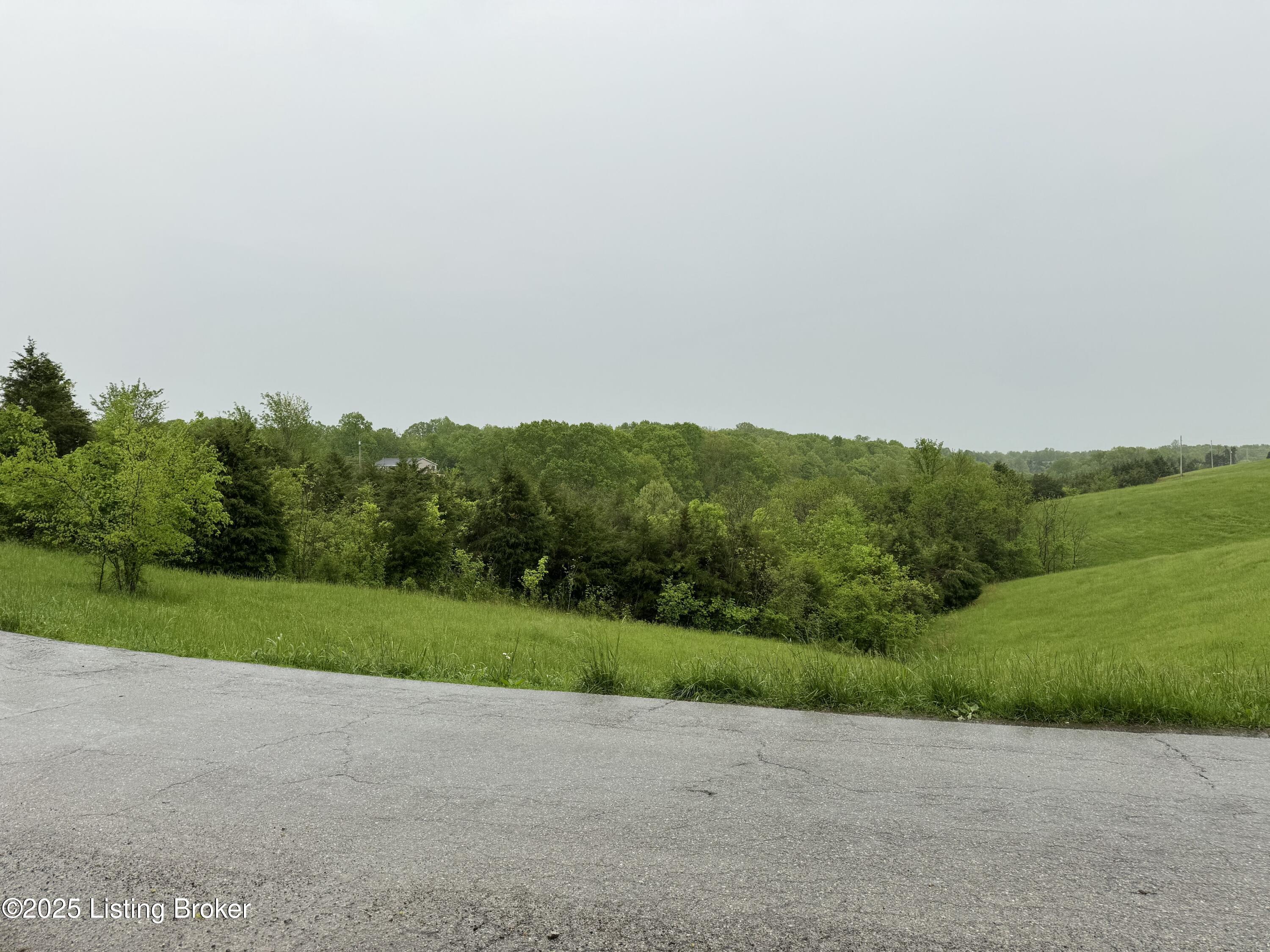2 Smitha Road Mount Eden, KY 40046 - Photo 9 of 11 IMG_2288