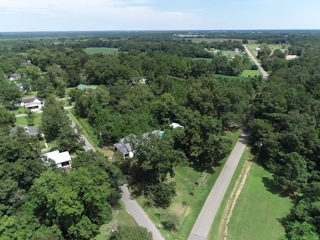 2.59 Cypress Rd/dexter Rd/ Worrell Street Eufaula, AL 36027 - Photo 6 of 9