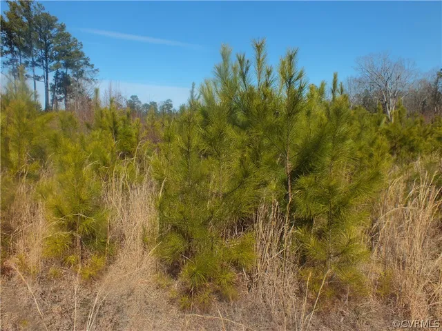 $77,000 | 0 Spicely Road, Ford, VA 23850