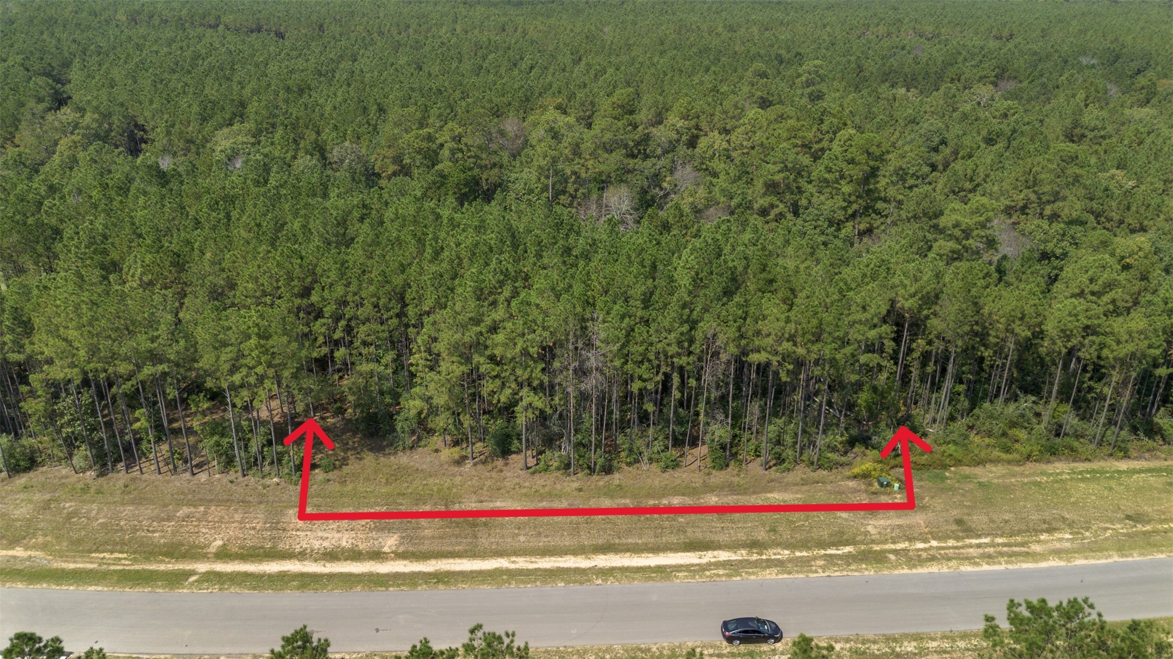 15896 Ridge Oak Road Willis, TX 77378 - Photo 13 of 23 a view of small space with a swimming pool