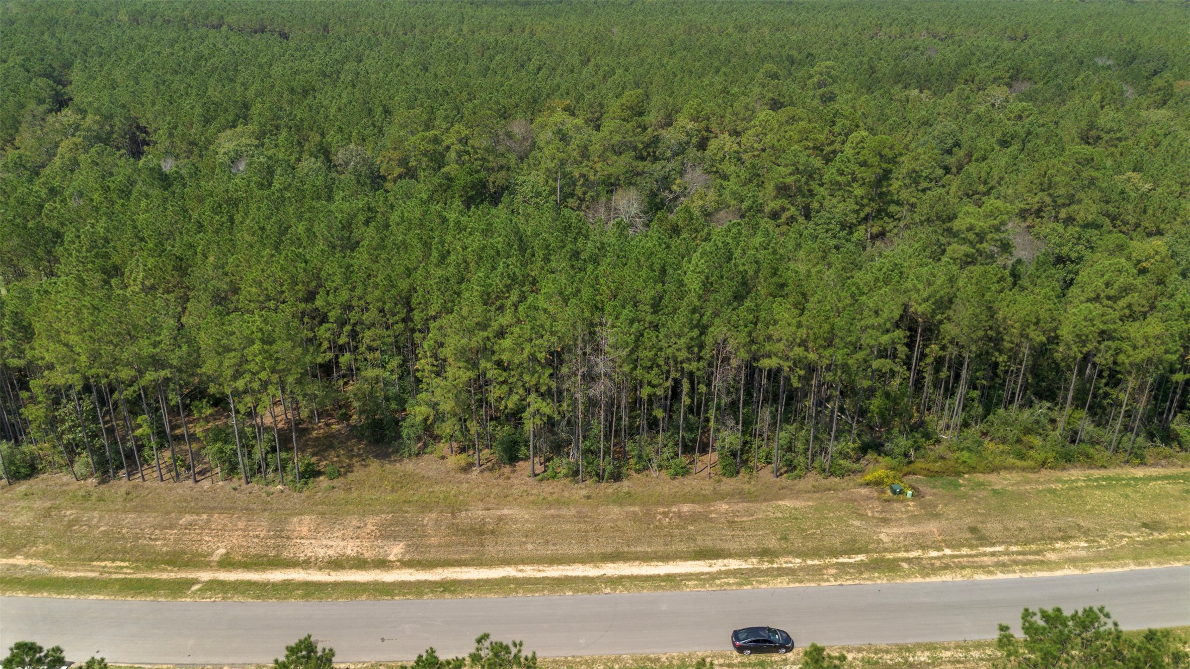 15896 Ridge Oak Road Willis, TX 77378 - Photo 14 of 23 a view of a swimming pool with a yard